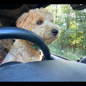 Meet your Posher, Giana